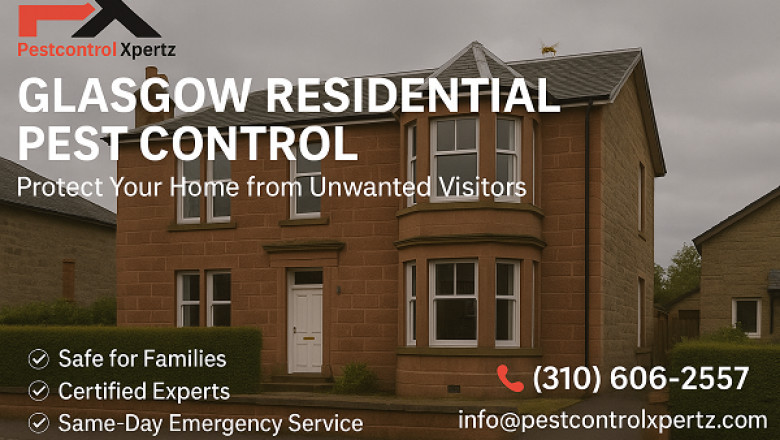 Residential Pest Control in Glasgow: What Every Homeowner Should Know to Stay Protected