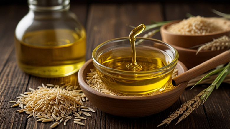 Rice Bran Oil Price Trend, Index, Historical Price Chart and Forecast
