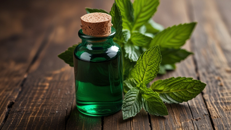 Peppermint Oil Price Chart 2025: Historical Price Chart and Forecast