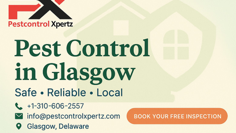 Pest Control in Glasgow: A Complete Guide for Homeowners and Businesses
