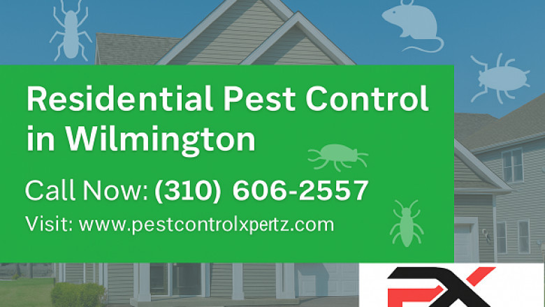 Reclaiming Your Wilmington Home: The Ultimate Guide to Residential Pest Control