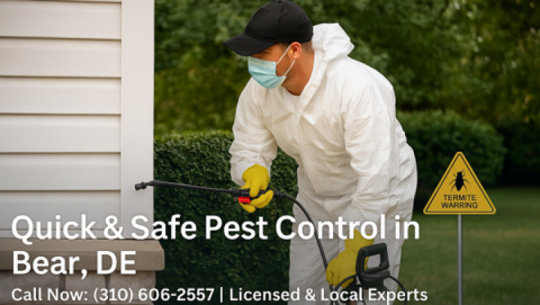 Quick Pest Control Bear: Fast and Effective Solutions to Protect Your Home