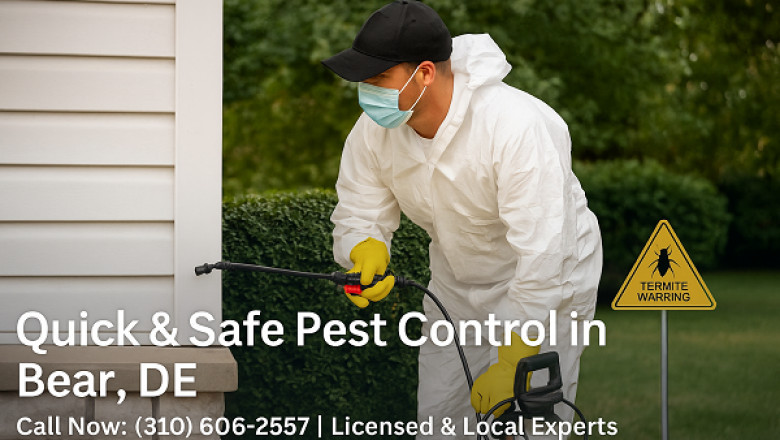 Quick Pest Control Bear: Fast, Local Solutions for Your Urgent Pest Problems