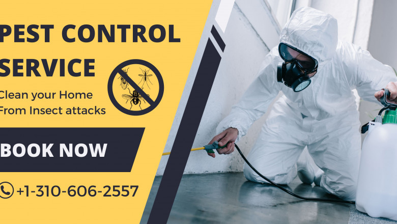 Quick Pest Control Middletown: The Secret to a Healthier, Safer Home in Delaware