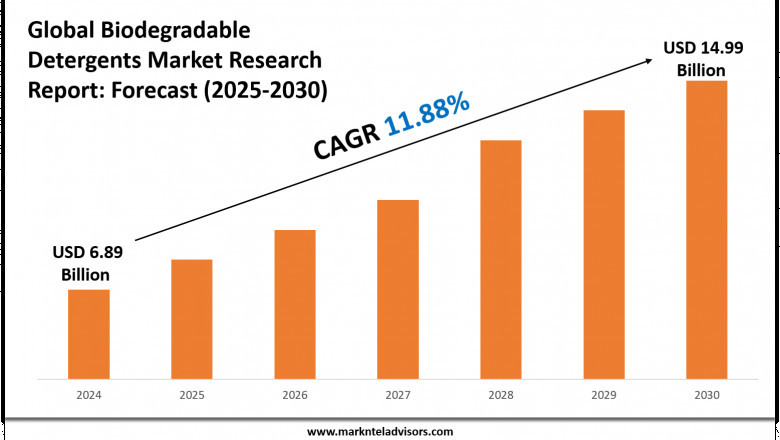 Biodegradable Detergents Market Growth Forecast to 2030: Size & Demand Outlook