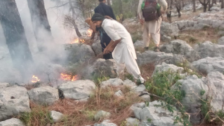 Fire Breaks Out in Margalla Hills: A Growing Environmental Concern