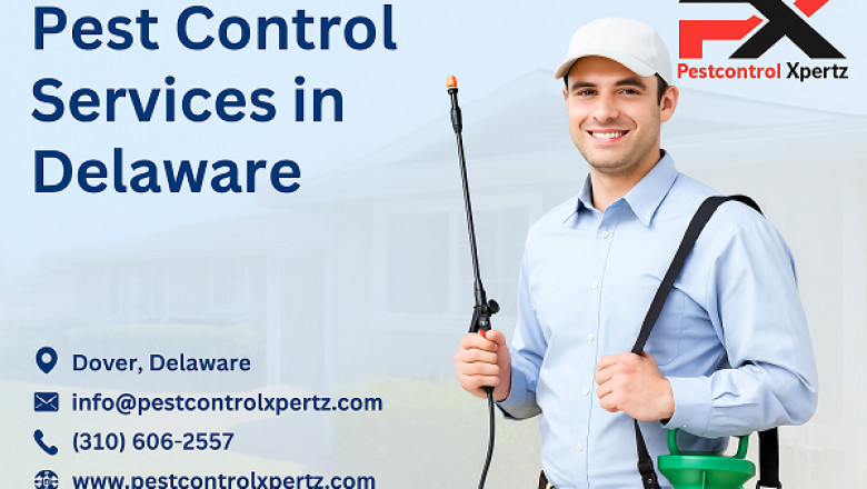 Rodent Prevention Tips for Delaware Homes Before Fall
