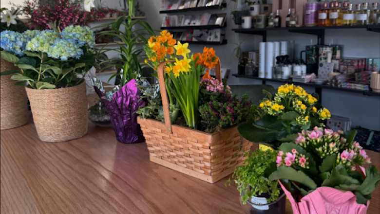 What to Look for in a Flower Shop in Pittsburgh, PA