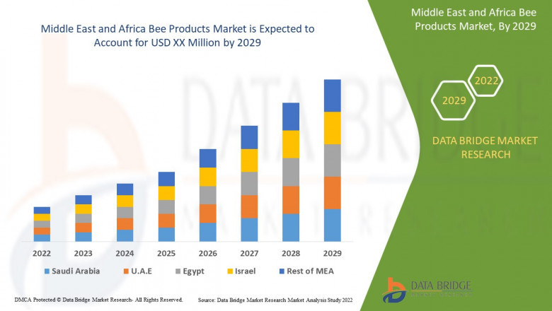 Middle East and Africa Bee Products Market Boosted by Traditional Medicine Trends