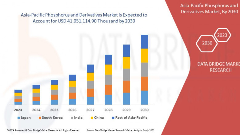 Asia-Pacific Phosphorus and Derivatives Market: Trends, Analysis, and Competitive Landscape