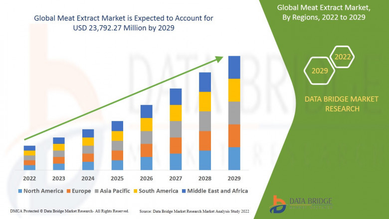 Meat Extract Market Size, Current Status, and Outlook 2029