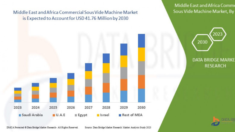 Middle East and Africa Commercial Sous Vide Machine Market: Insights and Competitive Analysis