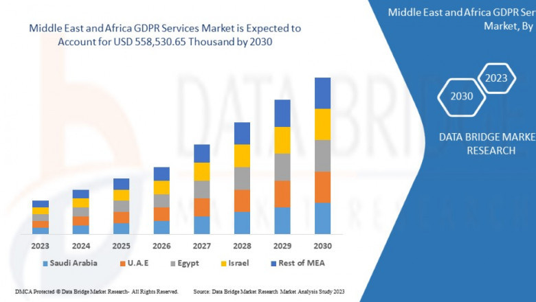 Middle East and Africa GDPR Services Market Growth and Future Trends
