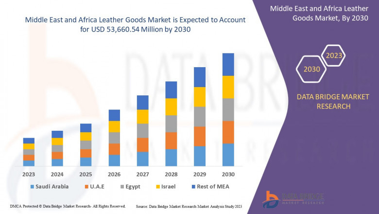 Middle East and Africa Leather Goods Market: Key Trends and Future to 2030Growth Forecast