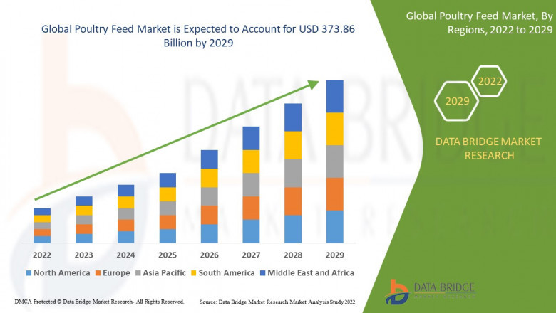 Poultry Feed Market Size, Current Status, and Outlook 2029