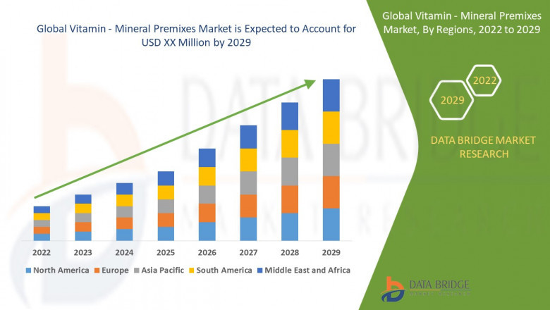 Vitamin - Mineral Premixes Market Size, Current Status, and Outlook 2029