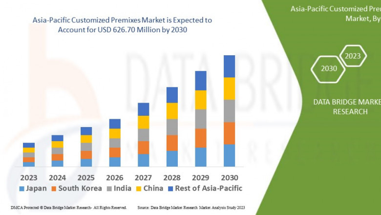 Asia-Pacific Customized Premixes Market Leaders: Growth, Share, Value, Size, and Scope