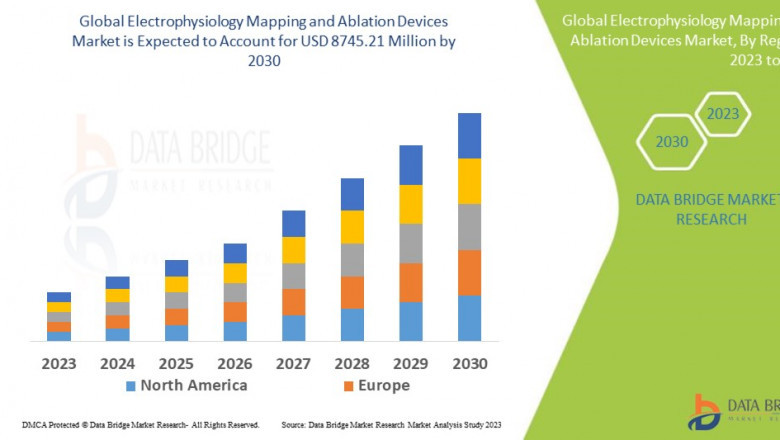 Electrophysiology Mapping and Ablation Devices Market Trends, Insights and Future Outlook 2023 –2030
