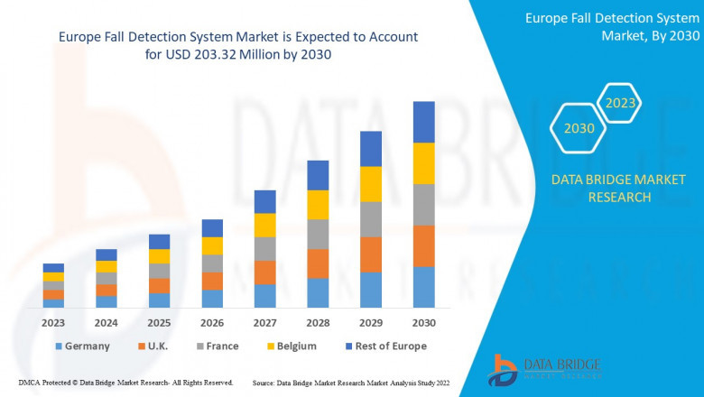Europe Fall Detection System Market Future Scope: Growth, Share, Value, Size, and Analysis