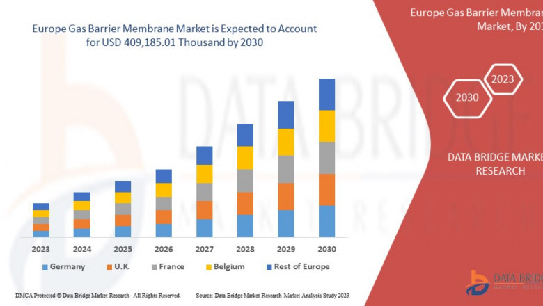 Europe Gas Barrier Membrane Market Leaders: Growth, Share, Value, Size, and Scope