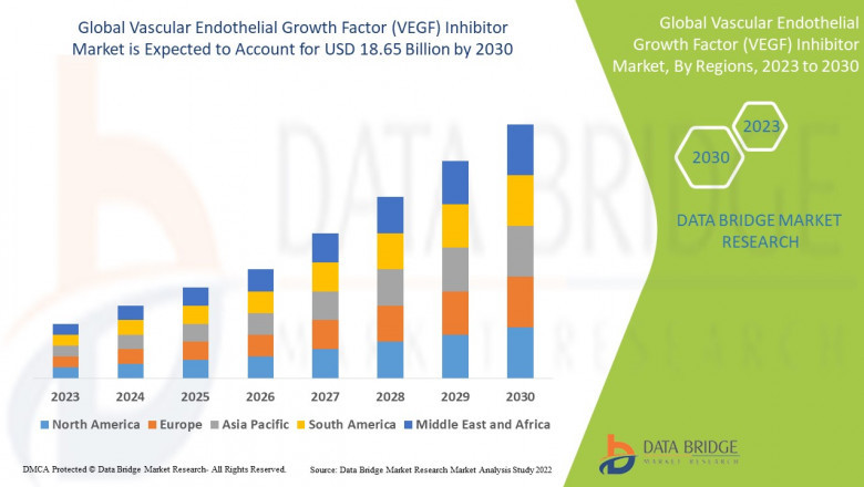 Vascular Endothelial Growth Factor (VEGF) Inhibitor Market Insights and Growth Trends 2023 –2030