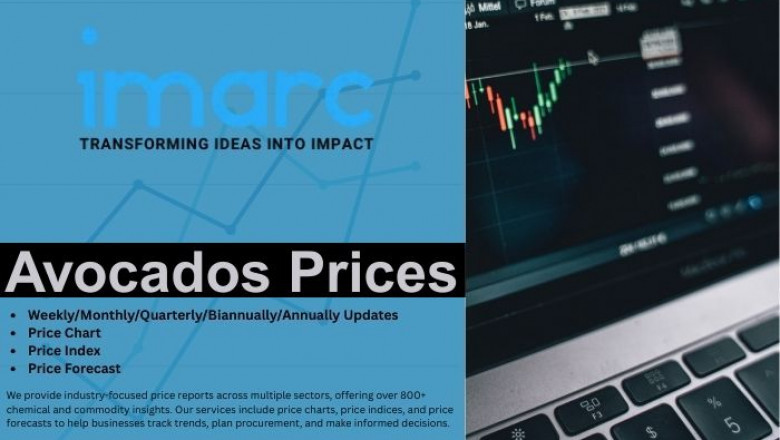 Avocados Prices, Trend, Index, Monitor and Forecast Data | IMARC Group