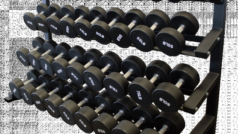 Get Strong Without Breaking the Bank: Your Guide to Affordable Free Weights and Fitness Equipment